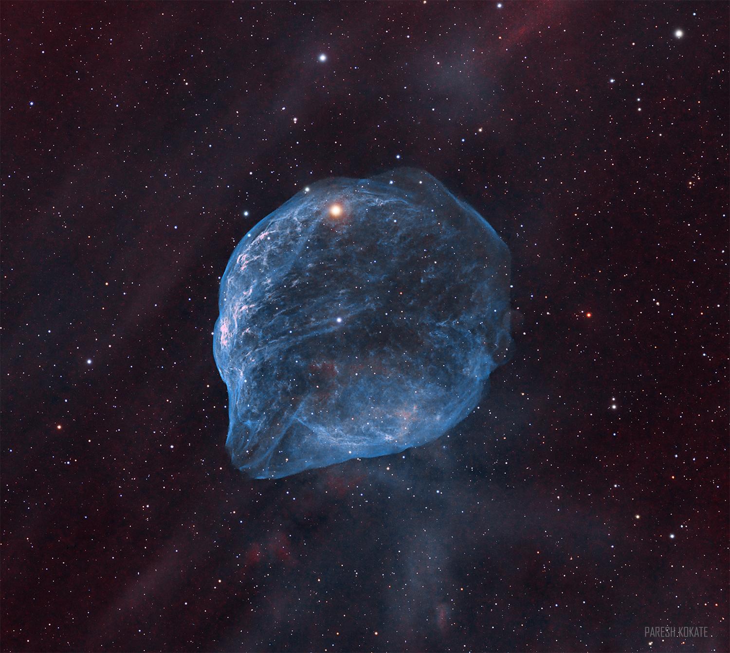 Dolphin-Head Nebula - SH2-308