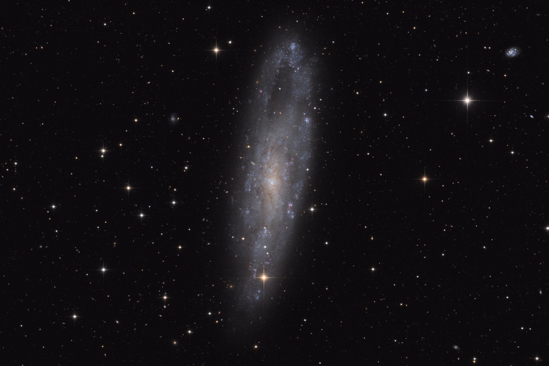 NGC 247