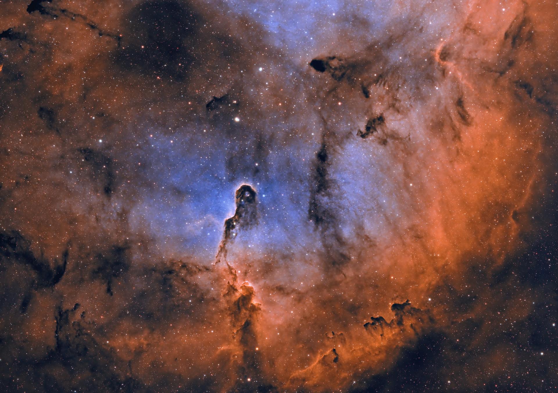 Elephant's Trunk Nebula (IC1396)