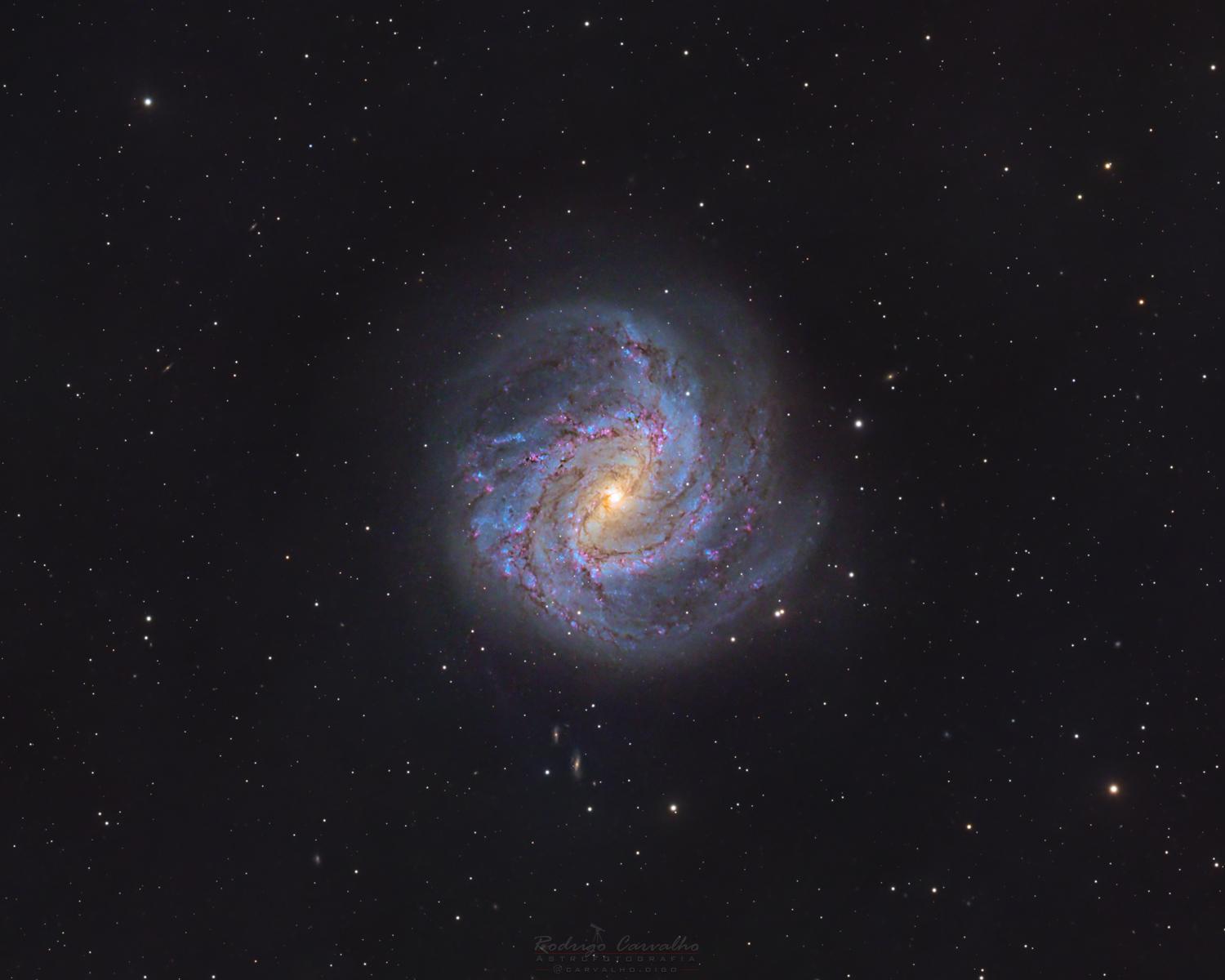 M83 - Southern Pinwheel Galaxy