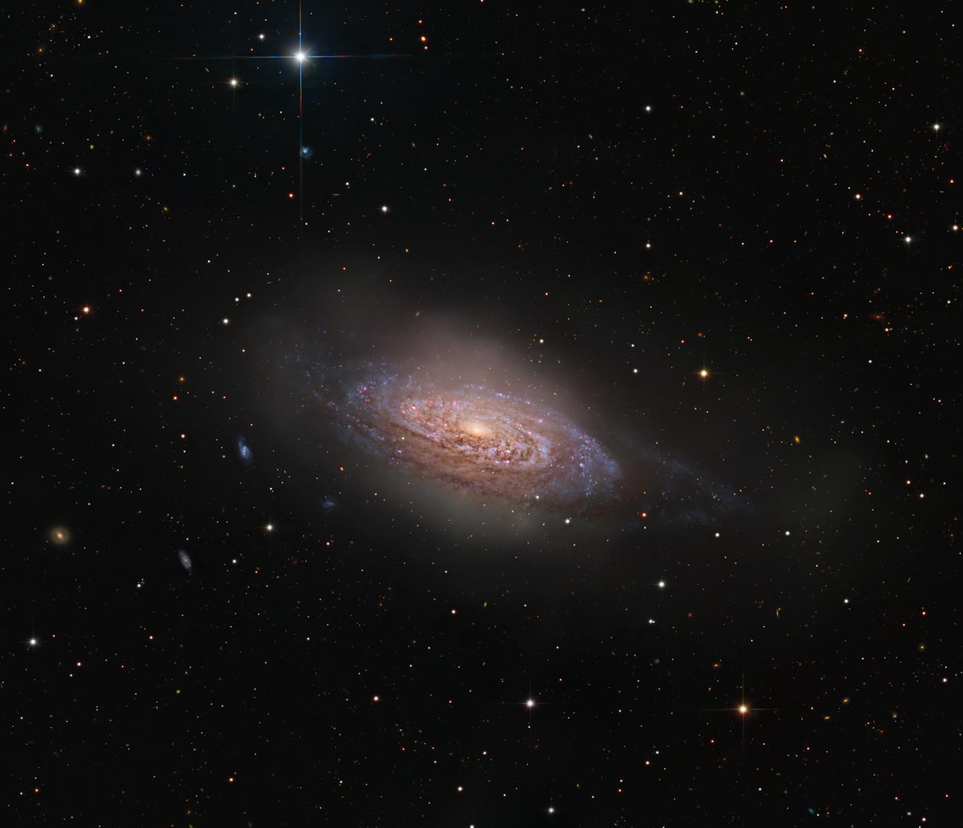 NGC 3521 - CDK 17 First Light in Obstech