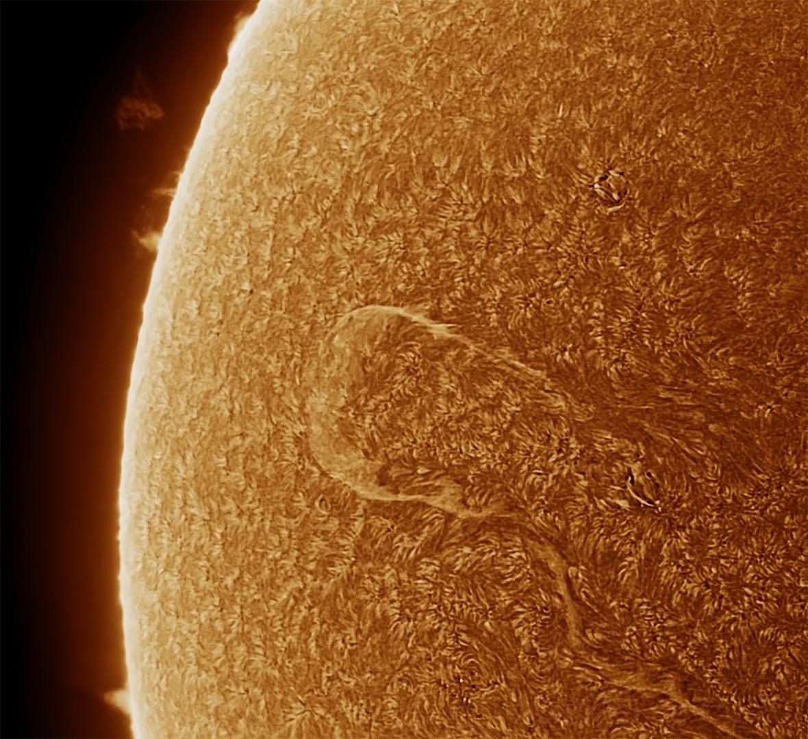 Sun with a huge Prominence 