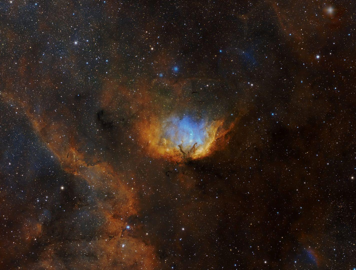 The Tulip Nebula and Cygnus X-1 Black Hole