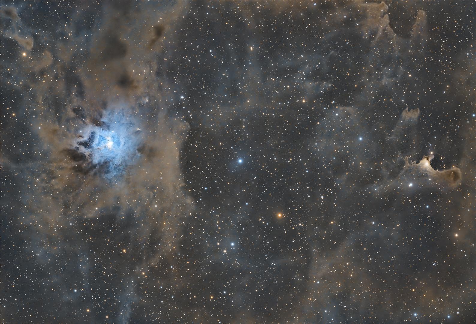 NGC 7023 & VdB141