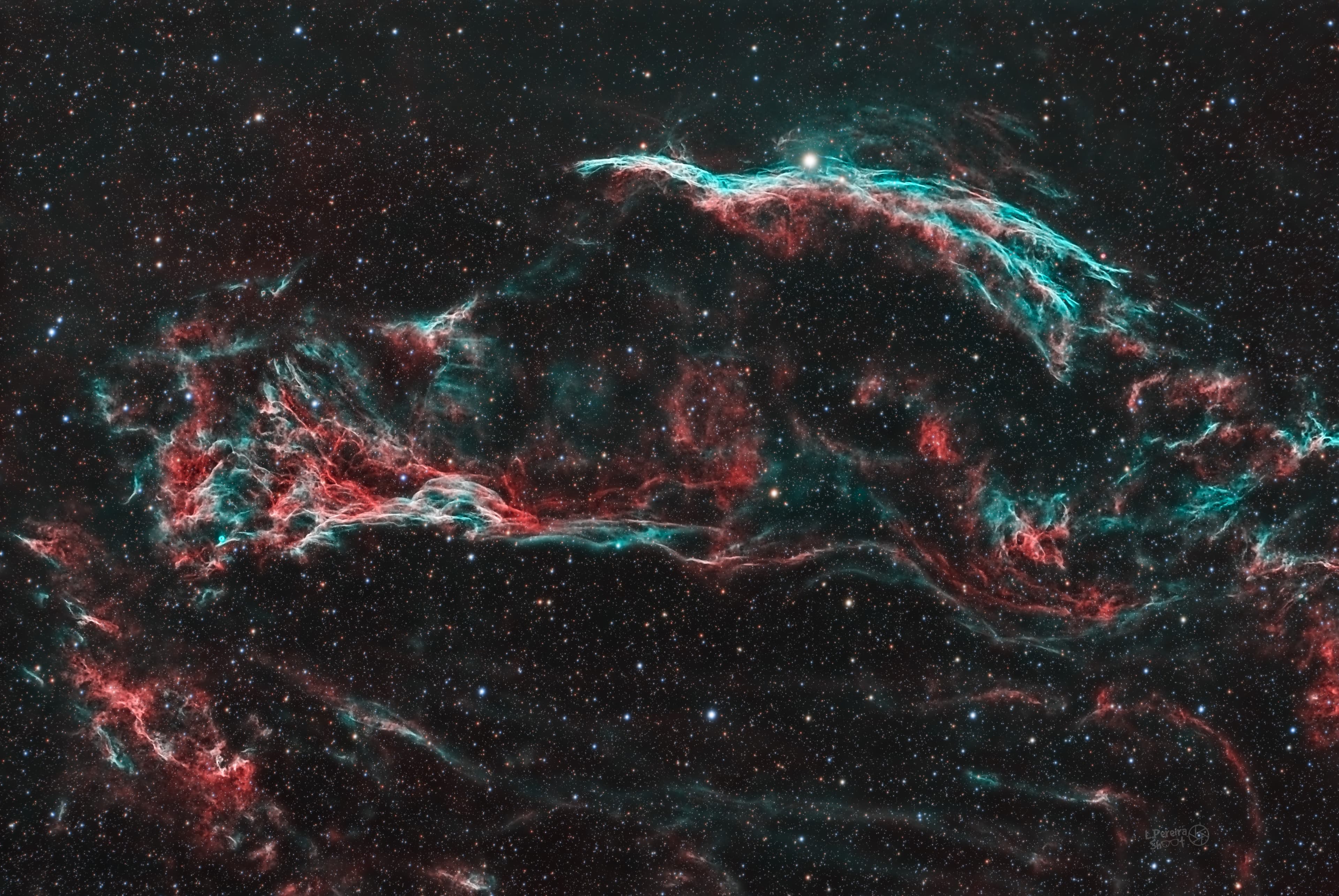 Western Veil