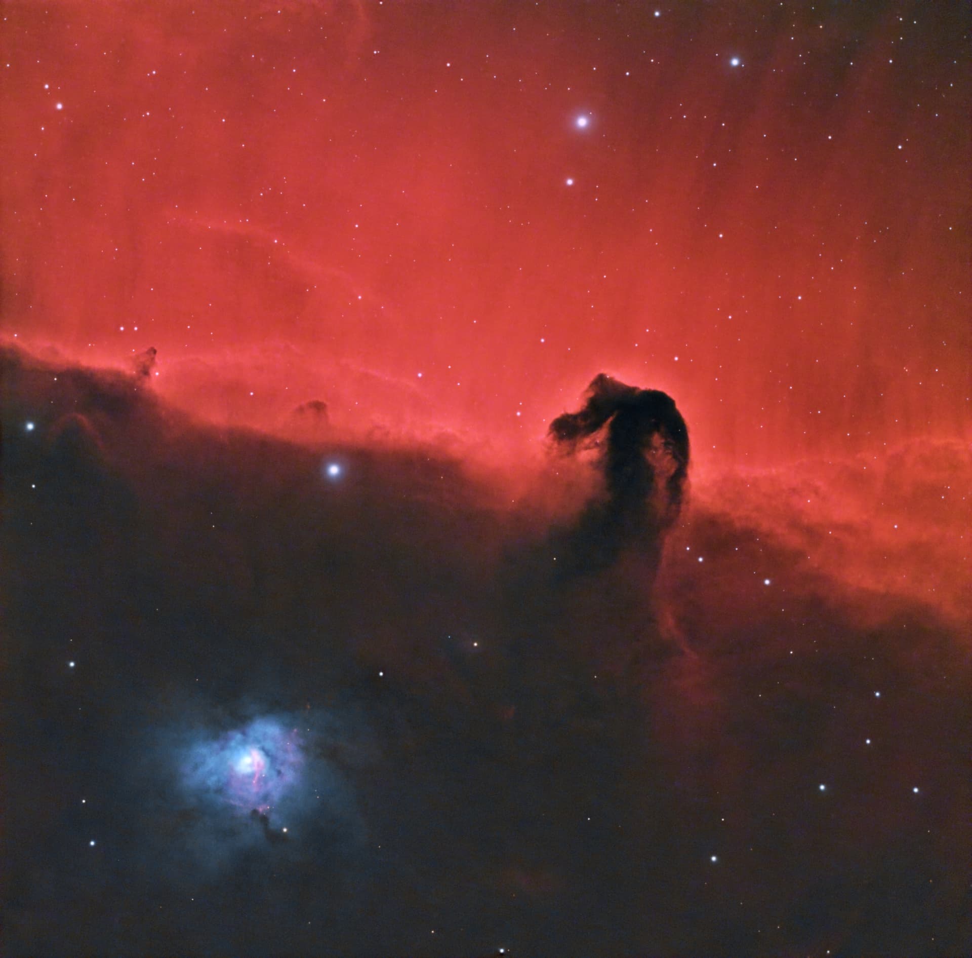 The Horsehead Nebula