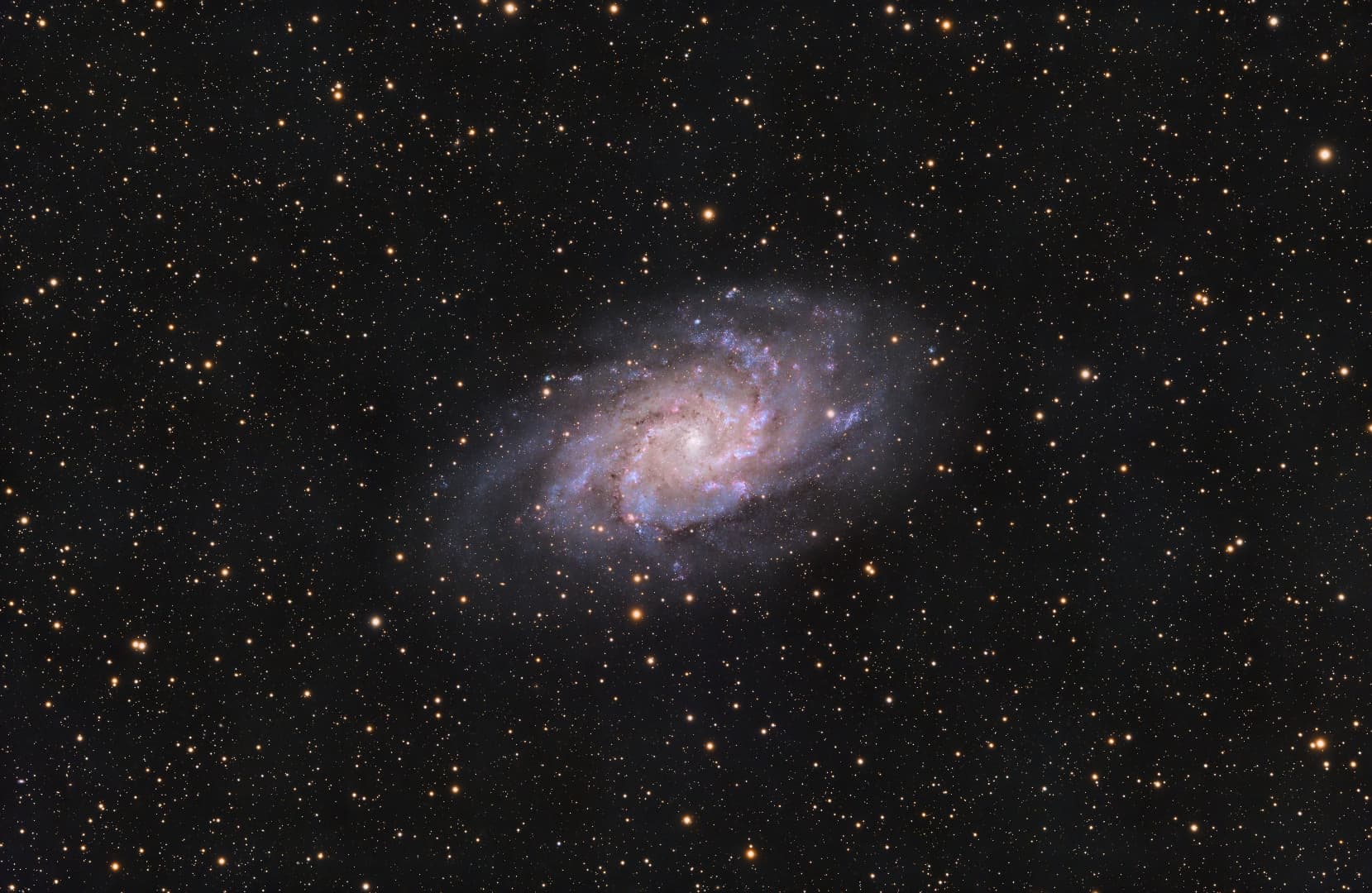 The Triangulum Galaxy