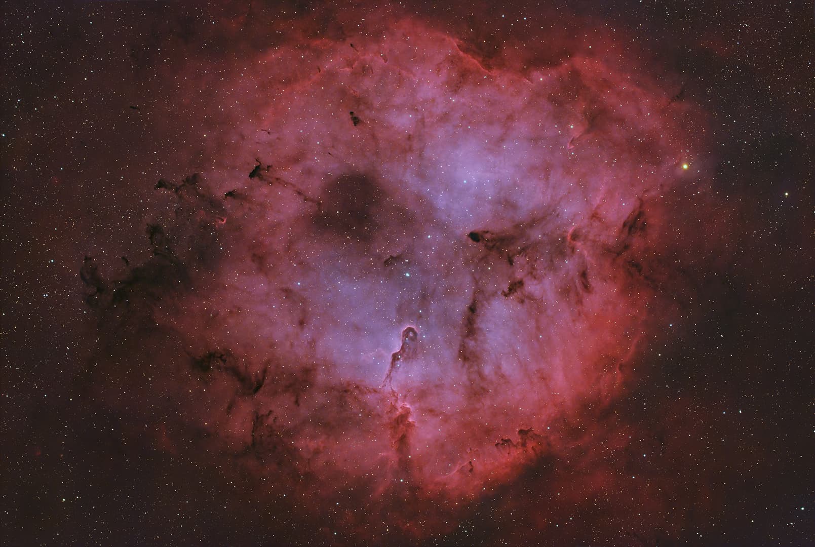 IC1396 and the Elephant Trunk