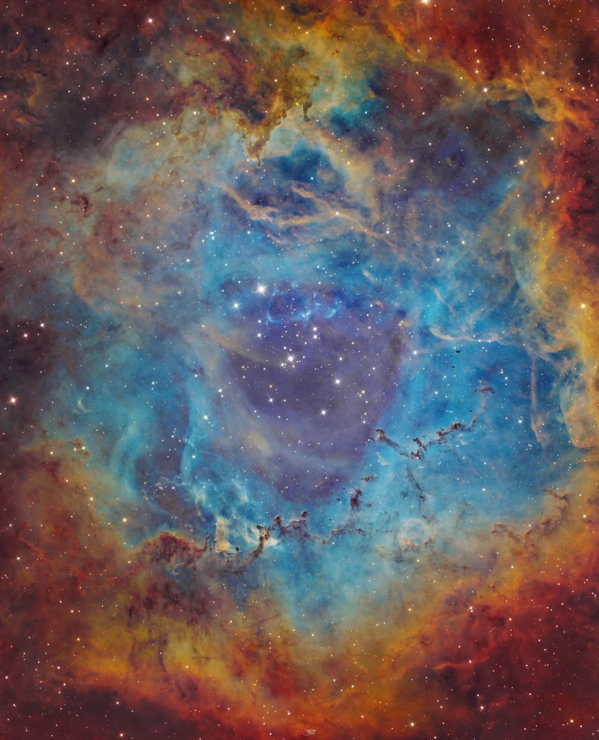 Rosetta Nebula