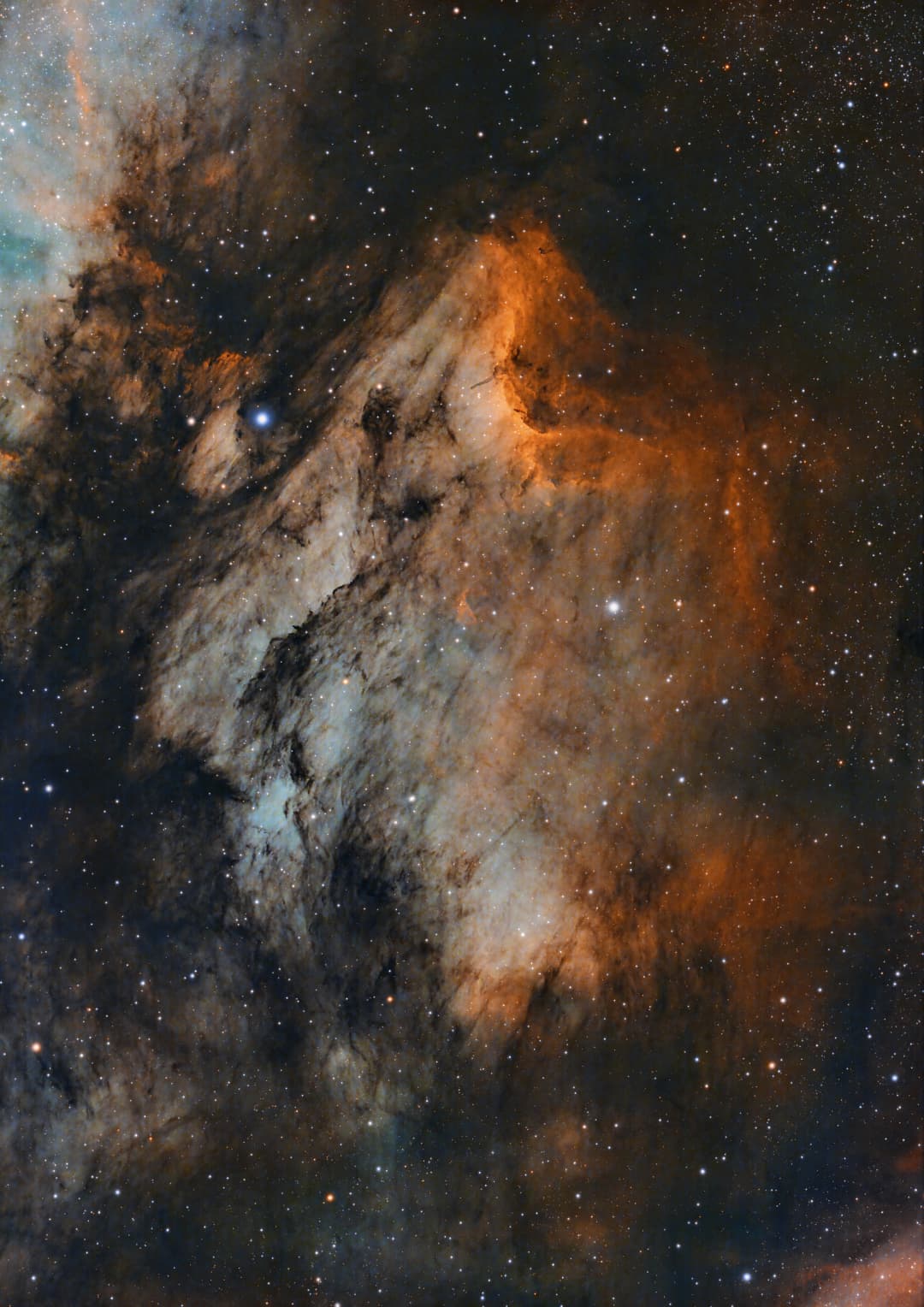 The Pelican Nebula