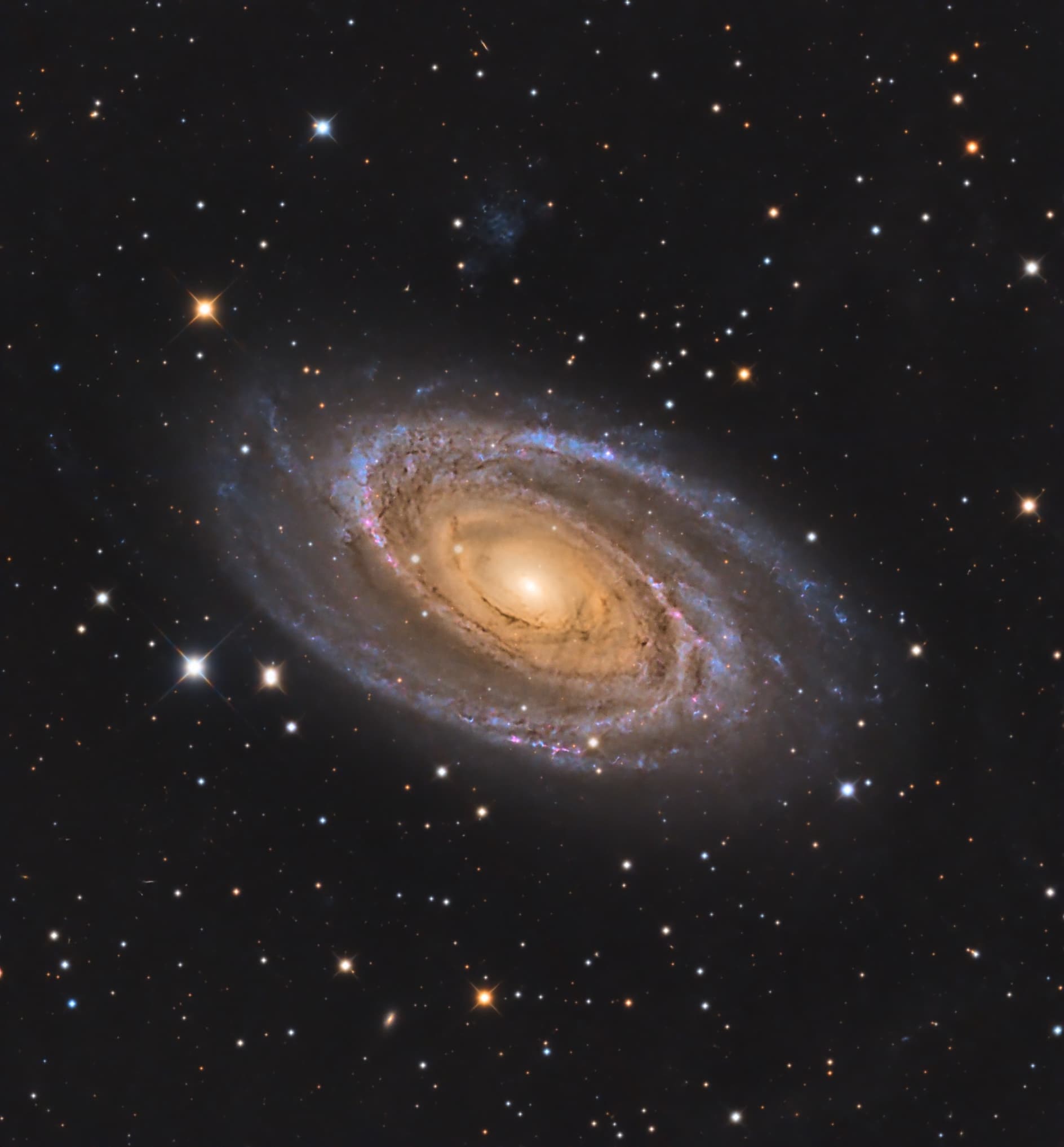 M81