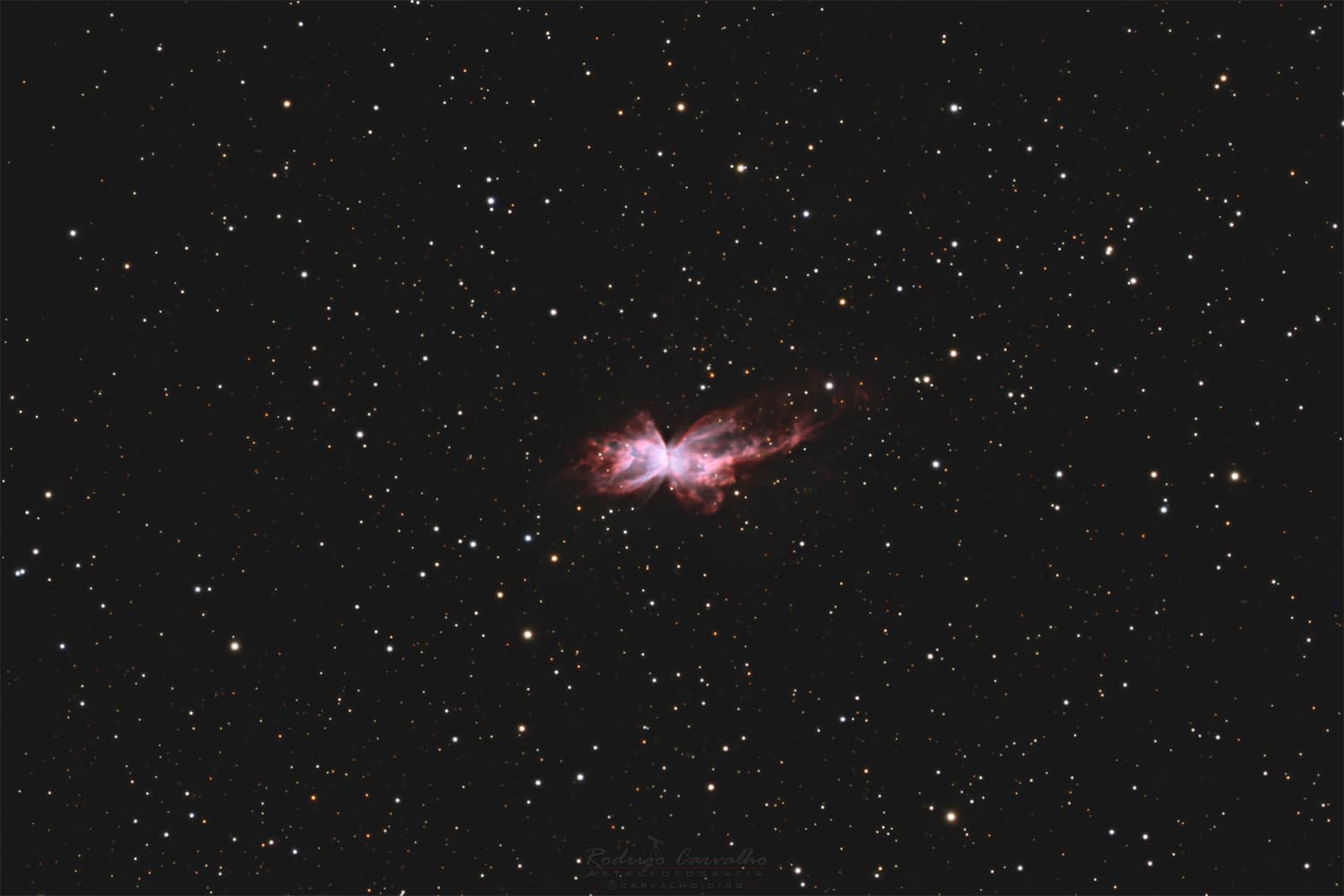 Bug Nebula (Butterfly)